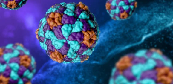 Hepatitis A