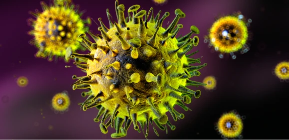 Influenza