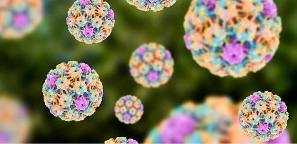 Virus del Papiloma Humano