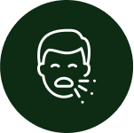Icono