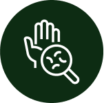 Icono